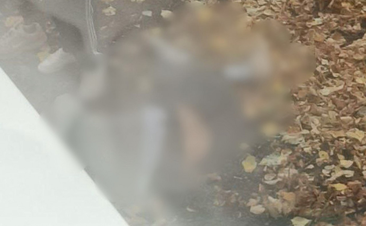 Бывший студент колледжа выпал с высоты третьего этажа в Новомосковске