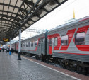 В России в поезда дальнего следования пассажиров будут пускать без предъявления билета