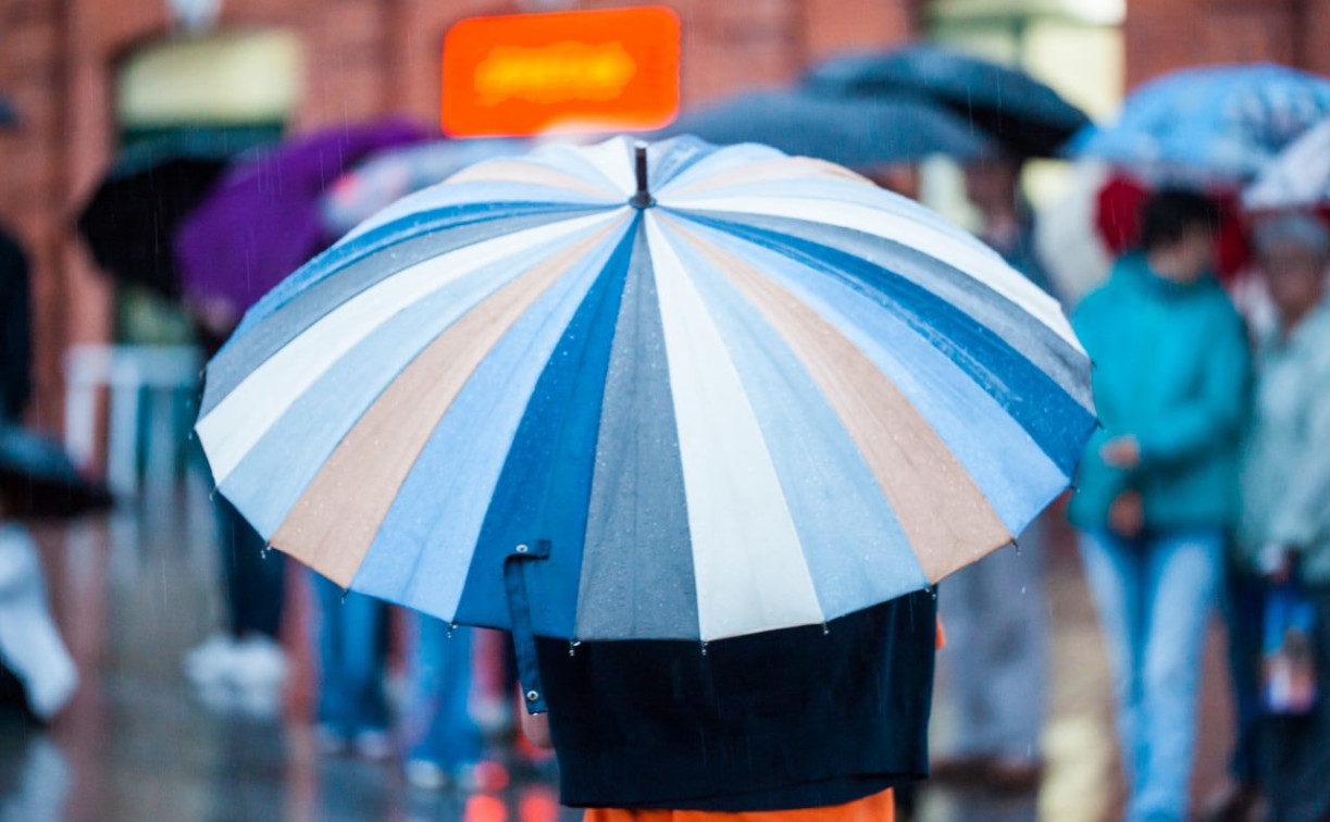 Погода в Туле 19 июля: сильный дождь и ветер