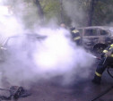 За ночь в Новомосковске сгорели три автомобиля