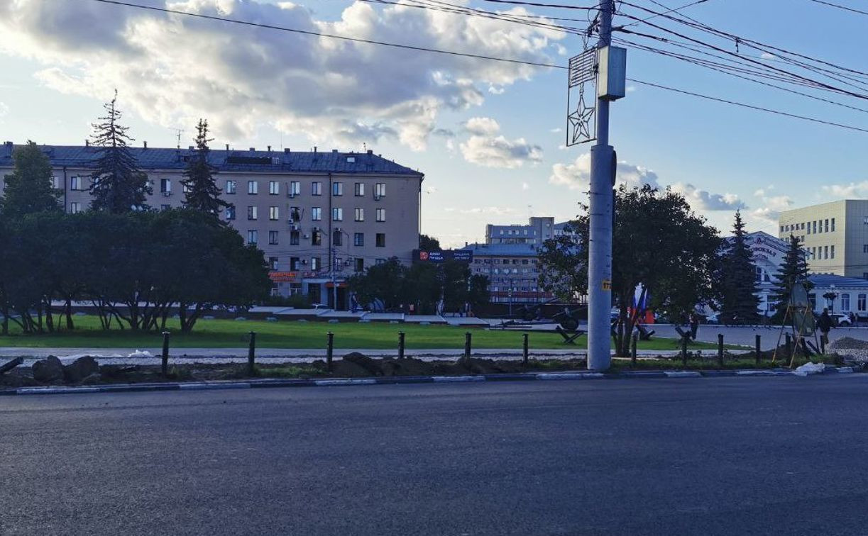 Администрация Тулы: «Все кусты сирени на площади Победы – на месте»
