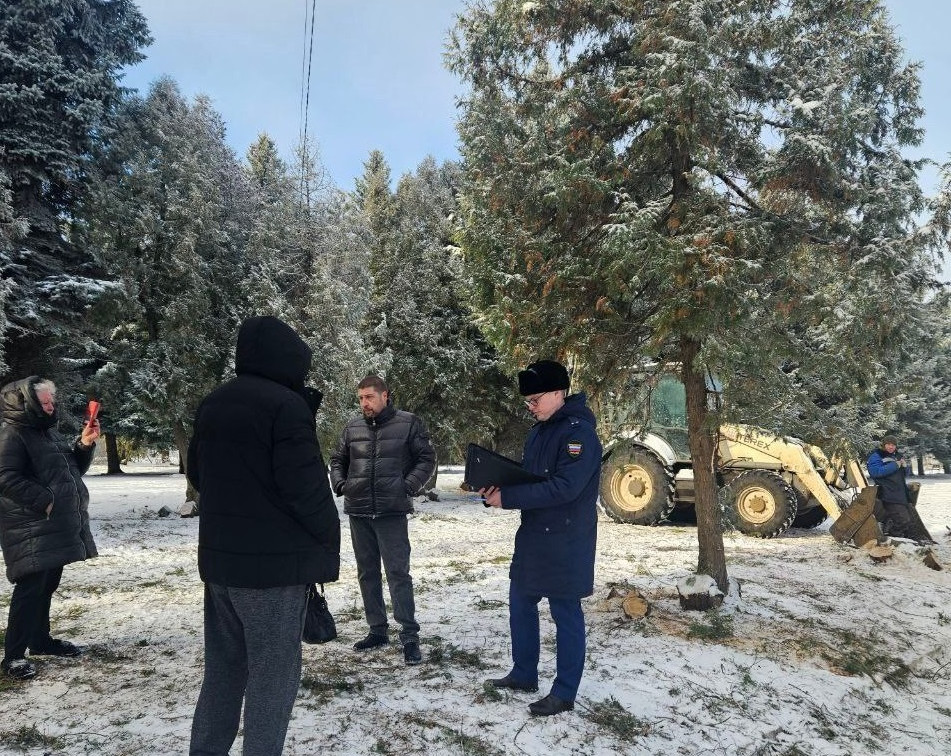 В Донском прокуратура проверяет факт вырубки туй на территории Братской могилы