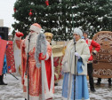 В Советском районе Тулы открылась новогодняя ёлка: фоторепортаж
