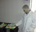 Александр Беглов посетил молочный завод в Дедилово 