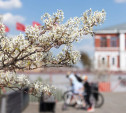 В Тульской области похолодало: на смену жаре идет арктический холод