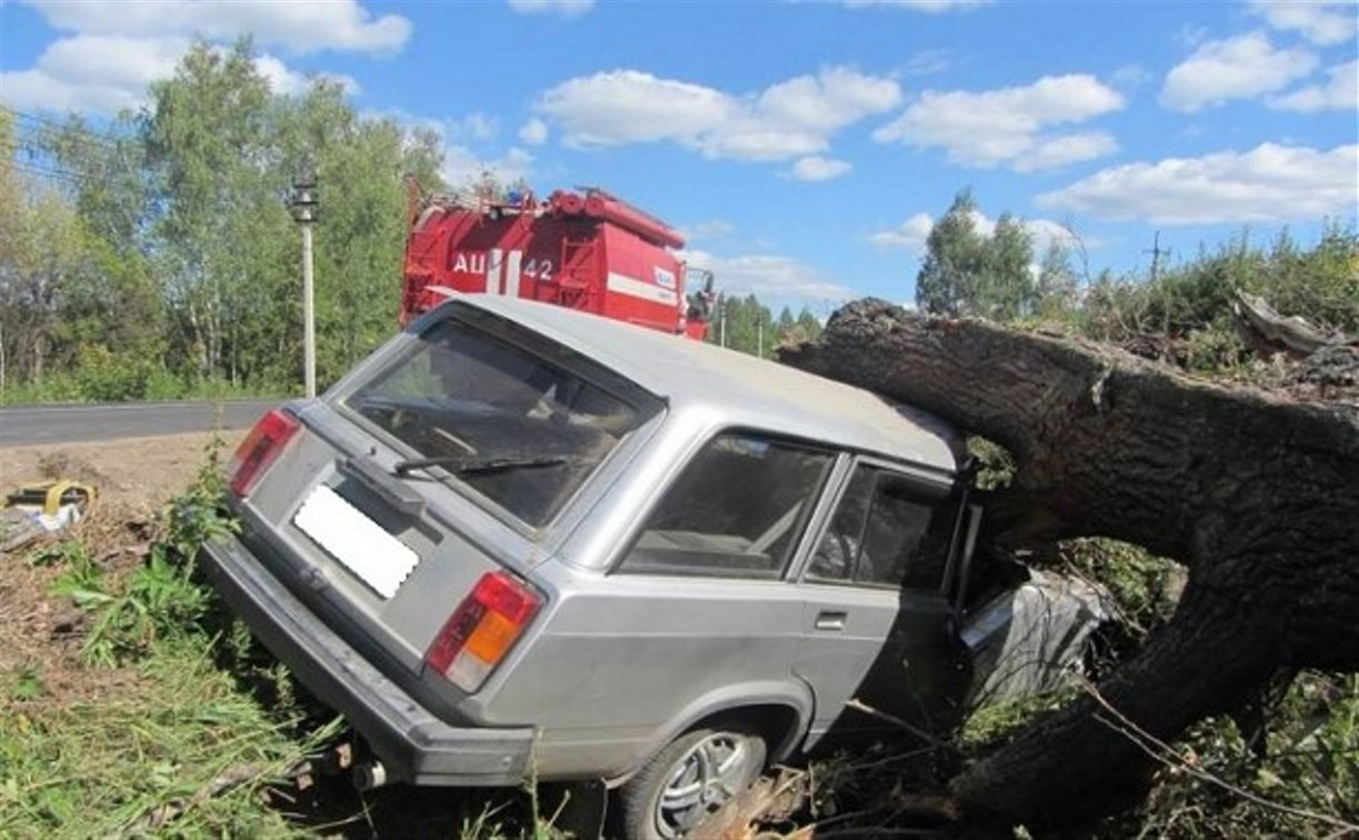 В Заокском районе 81-летний пенсионер на «четвёрке» влетел в дерево
