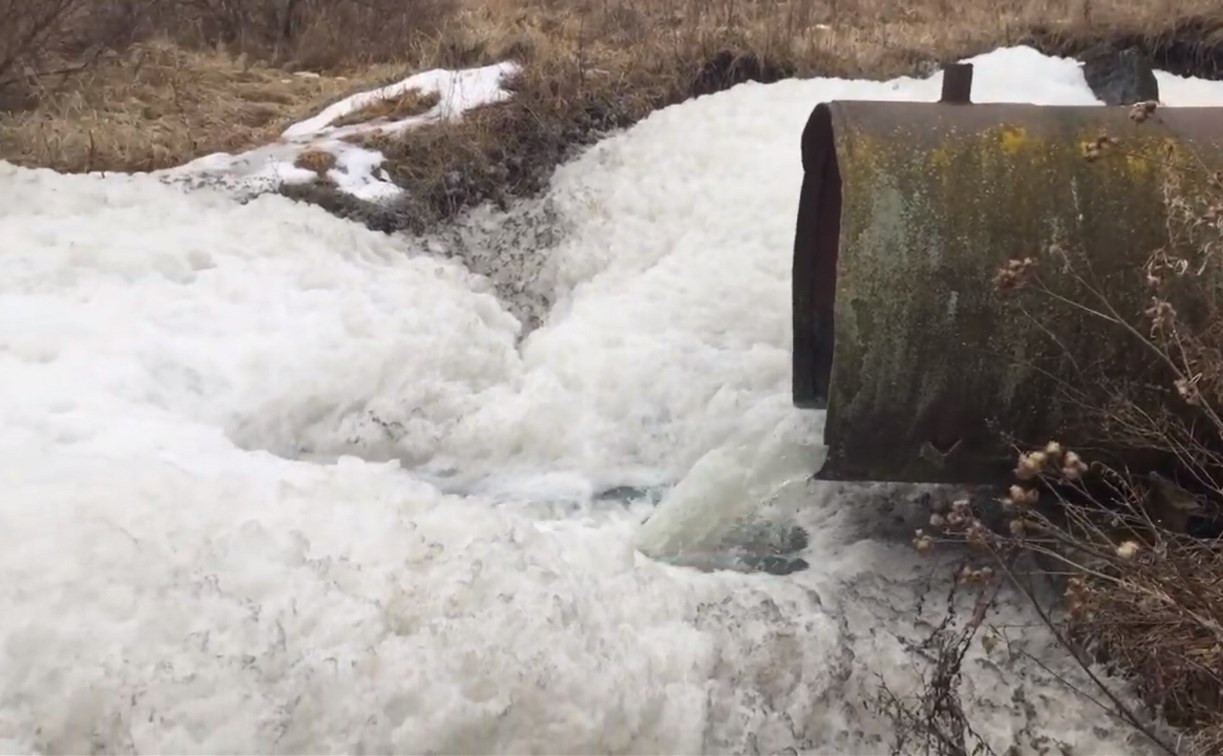 Химическая пена и ядовитый запах: в реку под Новомосковском сливают отходы