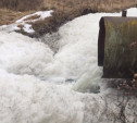 Химическая пена и ядовитый запах: в реку под Новомосковском сливают отходы