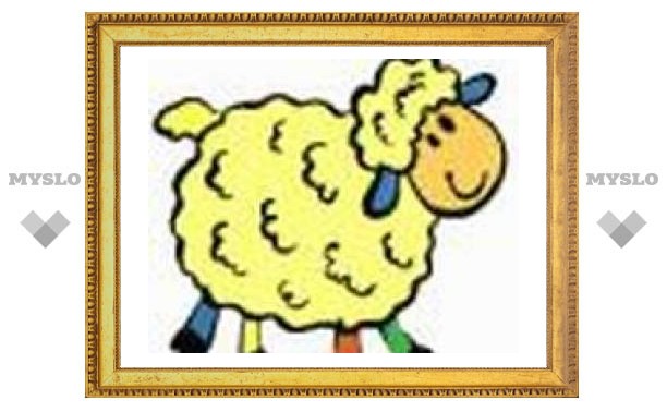 5 января: пекут печенье в форме овечек