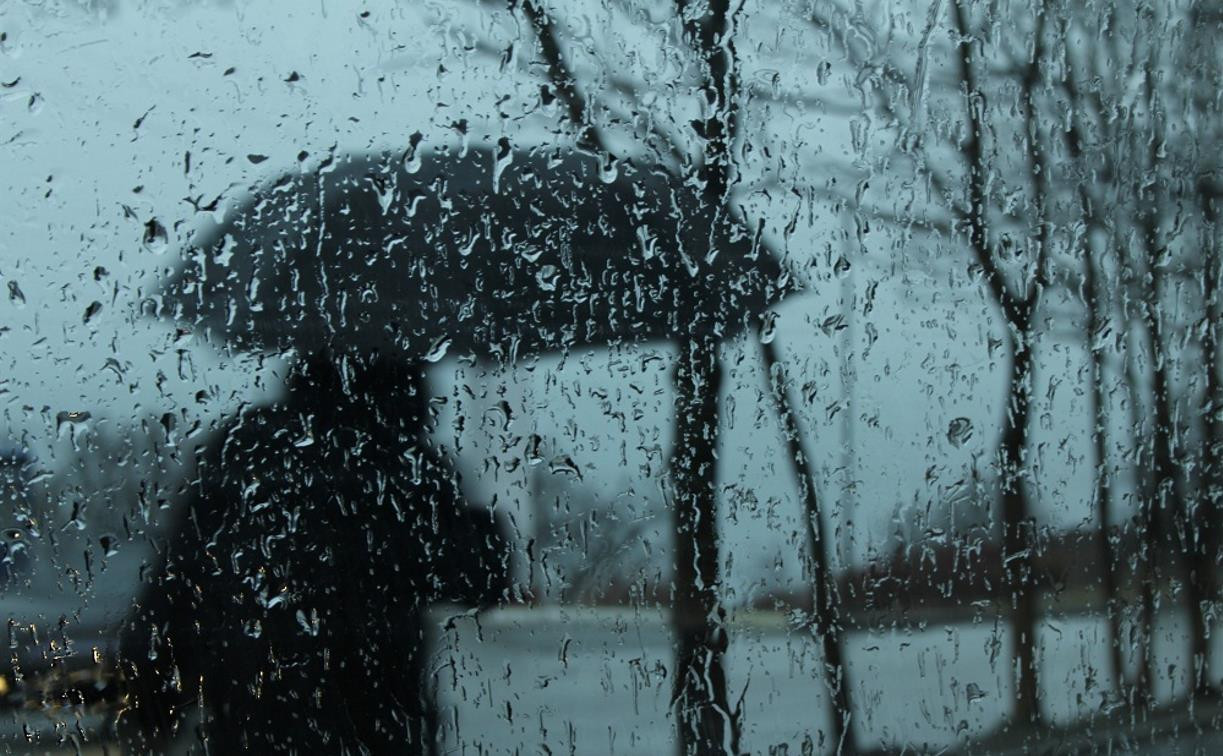 Погода в Туле 27 апреля: дожди, ветер и до +10