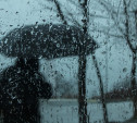 Погода в Туле 27 апреля: дожди, ветер и до +10