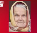 В Тульской области пропала 86-летняя бабушка