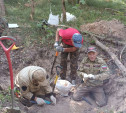 Поисковики тульского отряда «Штурм» нашли останки ещё 47 красноармейцев 
