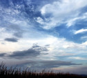 Погода в Туле 29 ноября: облачно, ветрено и холодно