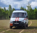 В Арсеньевском районе спасатели подорвали мину времён ВОВ