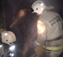 В Новомосковске мужчина сгорел в собственной квартире