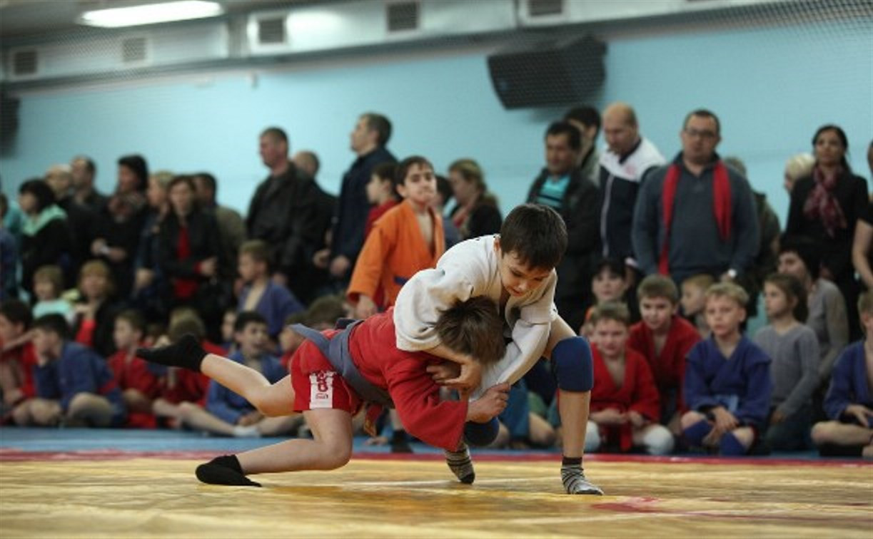 В российских школах на уроках физкультуры хотят преподавать самбо