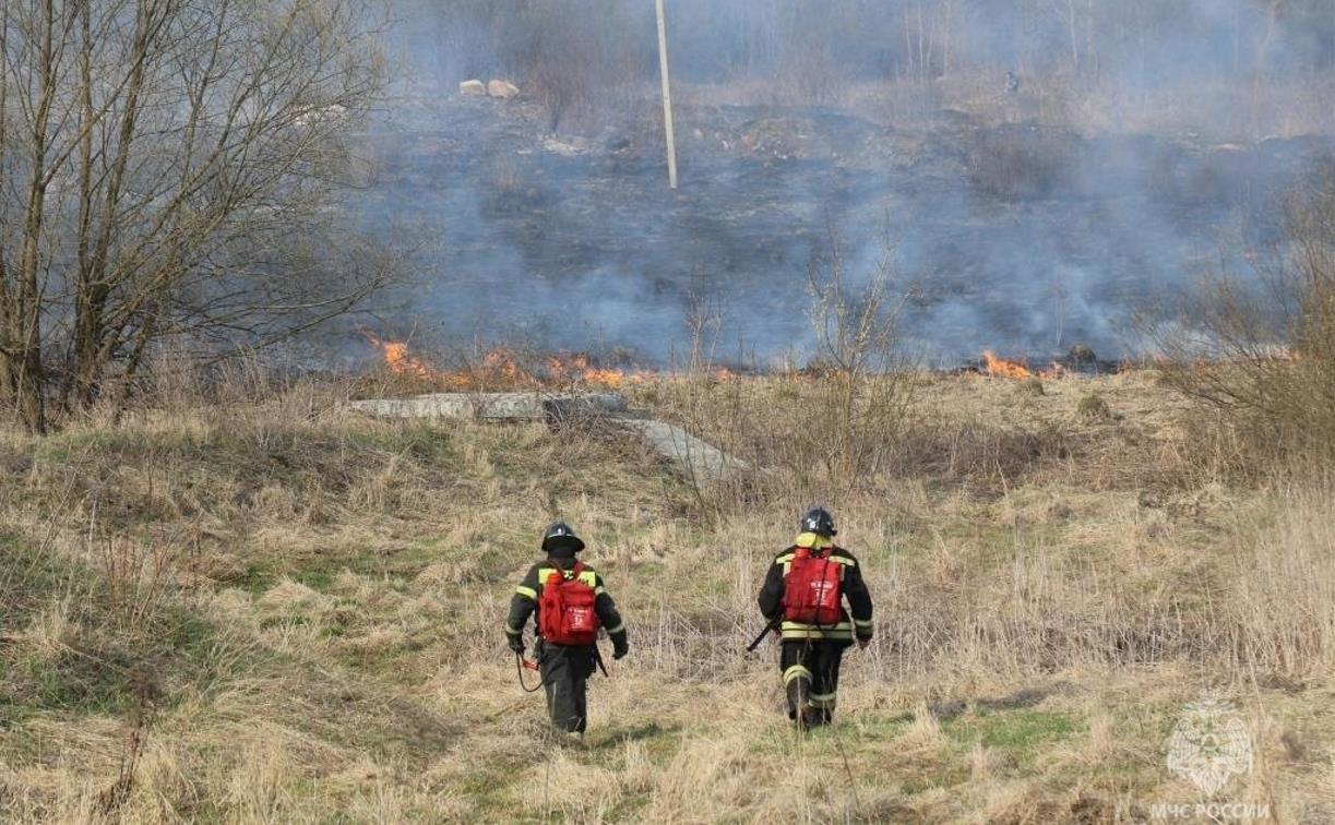 Названы районы Тульской области, куда чаще всего выезжают пожарные на тушение травы
