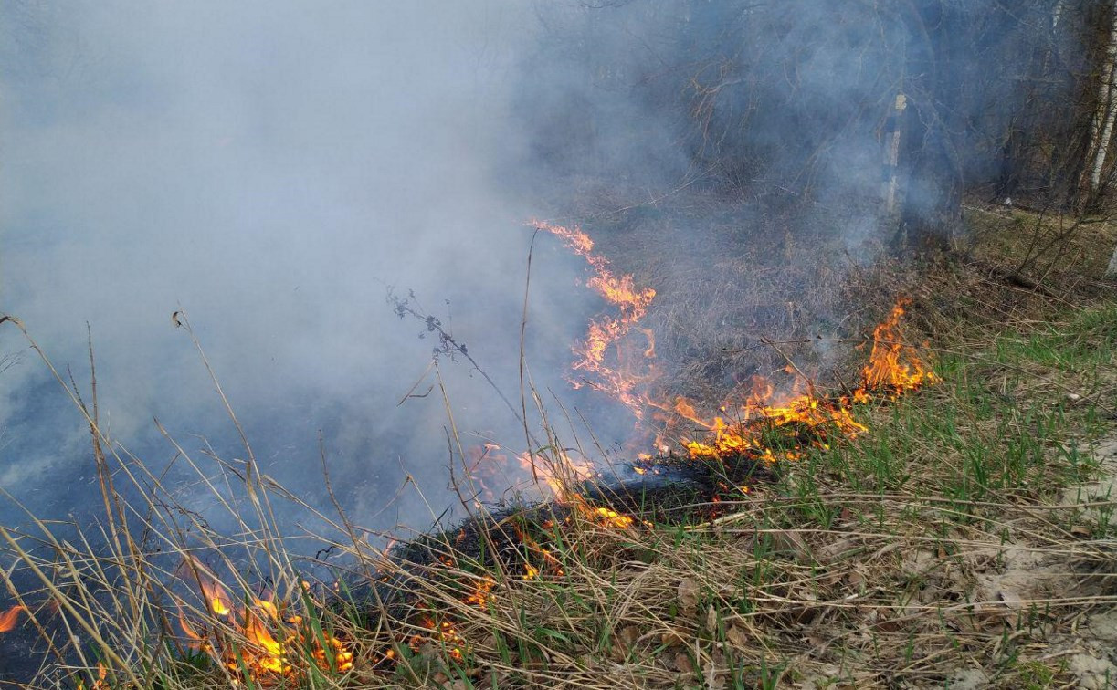 Туляков предупреждают о высоком уровне пожароопасности в регионе