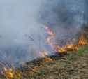 Туляков предупреждают о высоком уровне пожароопасности в регионе