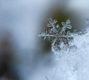Погода в Туле 2 декабря: небольшой снег и легкий морозец