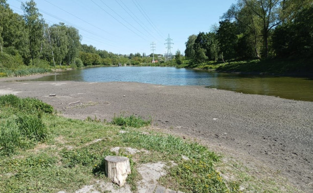 В Туле неожиданно обмелел пруд в Рогожинском парке