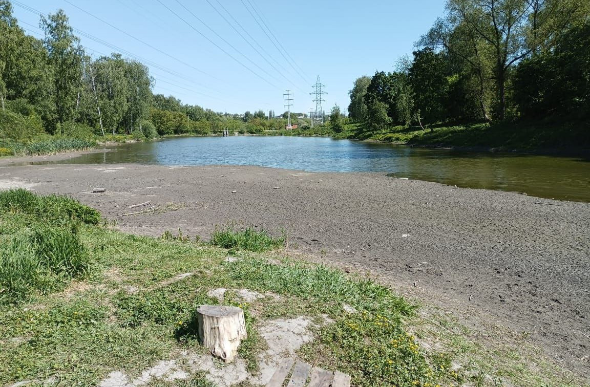 В Туле неожиданно обмелел пруд в Рогожинском парке