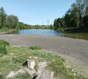 В Туле неожиданно обмелел пруд в Рогожинском парке
