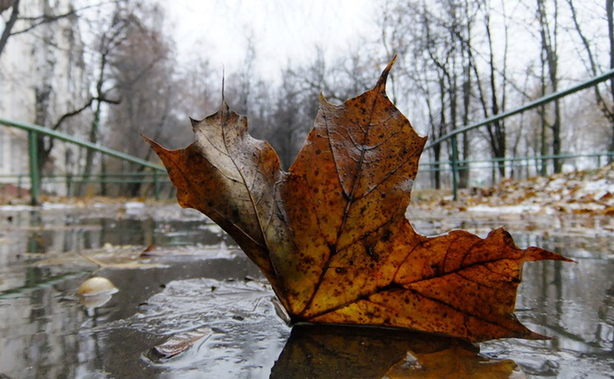 Погода в Туле 20 сентября: похолодание и небольшой дождь