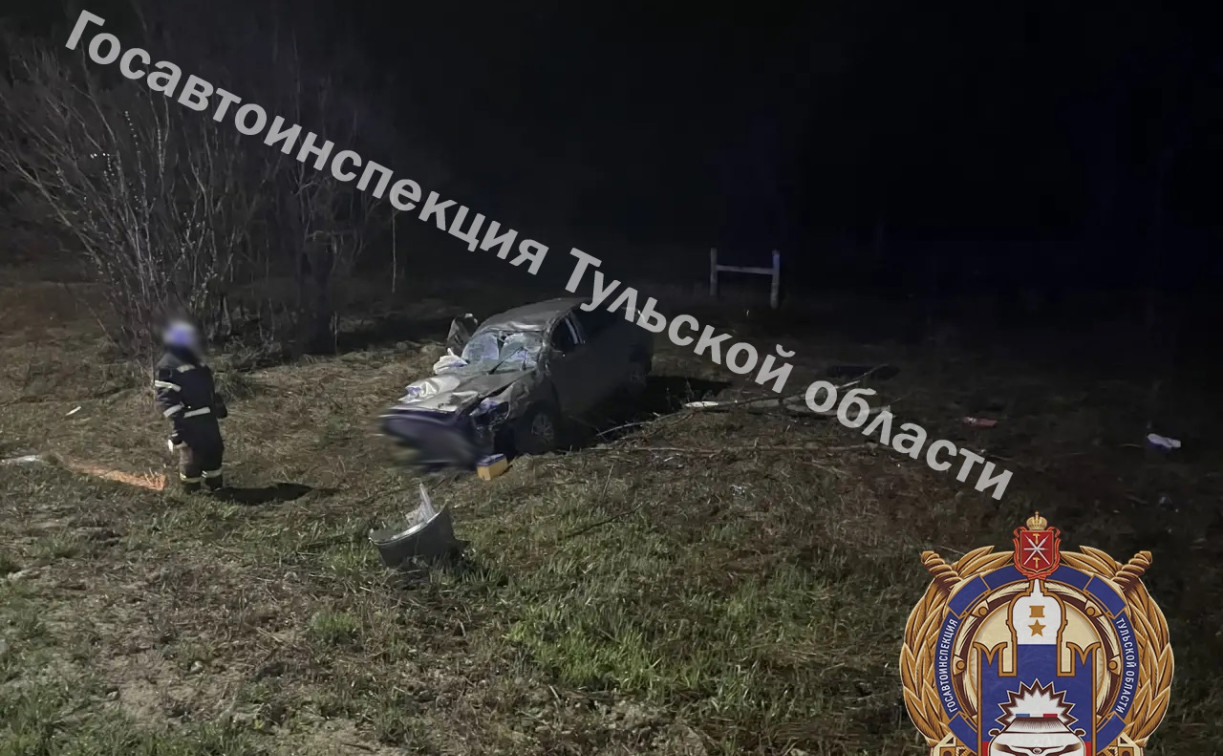 В Дубенском районе Skoda улетела в кювет: пострадали подросток и годовалая девочка