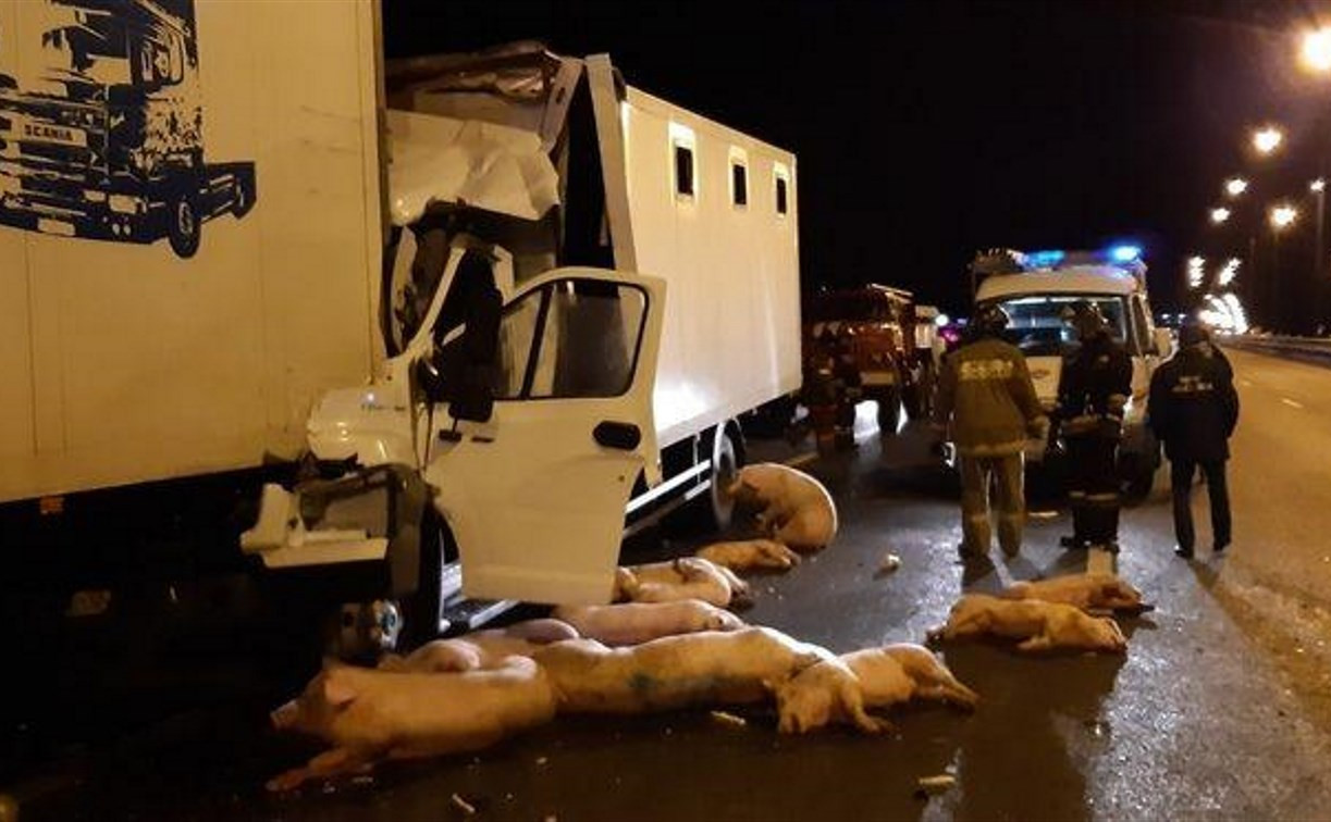 Перевозивший свиней водитель грузовика погиб в страшном ДТП на М-2 