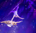 Премьера в Тульском цирке: бесстрашные акробаты, величественные тигры и шоу на штейн-трапе