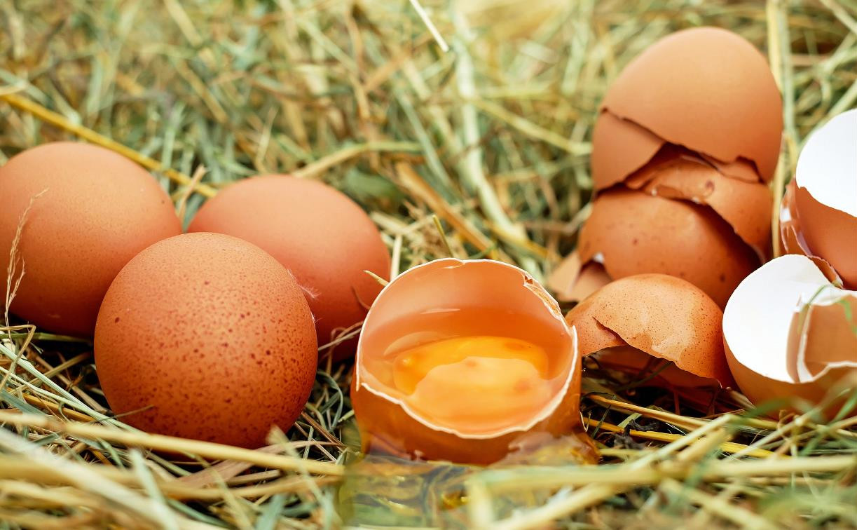 Жительница Ефремова украла у соседа 50 куриных яиц