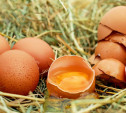 Жительница Ефремова украла у соседа 50 куриных яиц