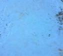 Прокуратура потребовала расчистить тротуары от снега в Киреевском районе
