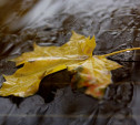 Погода в Туле 6 ноября: дождливо, тепло и ветрено