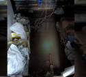«Вонь невозможная»: в девятиэтажке на Косой Горе канализация затопила подвал