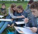 На Куликовом поле пройдёт всероссийский экологический арт-фестиваль «Цветет ковыль»