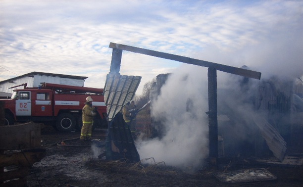 В Кимовском районе сгорел деревянный сарай