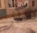 В Новомосковске пенсионерка погибла при падении с 8 этажа