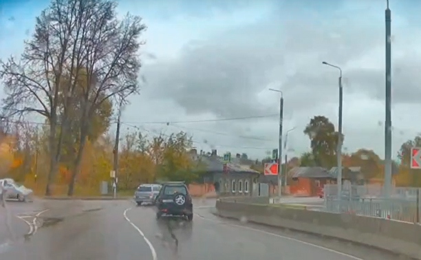 В Туле три водителя «удивились» стоп-линии и светофору