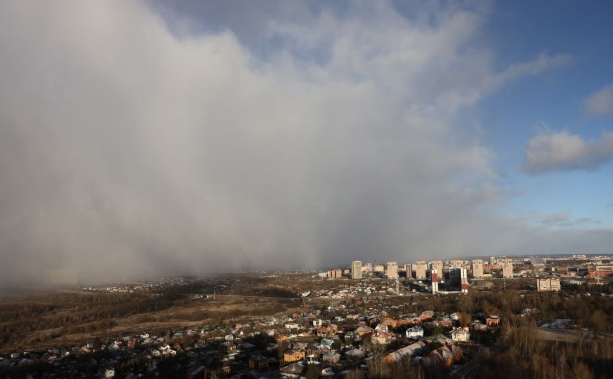 В Чернском районе владельца земли оштрафовали за заброшенный участок