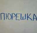 Пюрешка, сапборд и капча: РАН добавила в орфографический словарь русского языка еще 264 слова