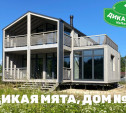 «Дикая Мята», дом №1: на поле фестиваля построят первый дом