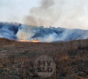 Рядом с Левобережным в Туле полыхает поле: огонь растянулся примерно на километр