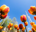Синоптики прогнозируют рекордно теплый апрель