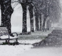 Погода в Туле 11 января: снегопад, облачность и ветер