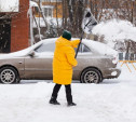Погода 31 января: в Туле возможен снегопад и около 0℃