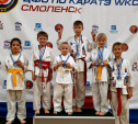 Юные тульские каратисты привезли 5 медалей из Смоленска