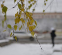 Погода в Туле 1 декабря: небольшой снег, гололедица и до -10